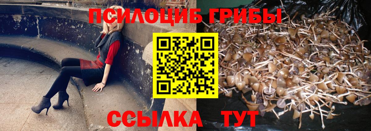 Псилоцибиновые грибы MAGIC MUSHROOMS Брянск